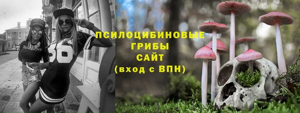 эйфоретик Новокубанск