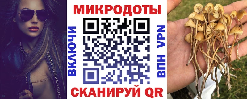Псилоцибиновые грибы прущие грибы  Александровское 
